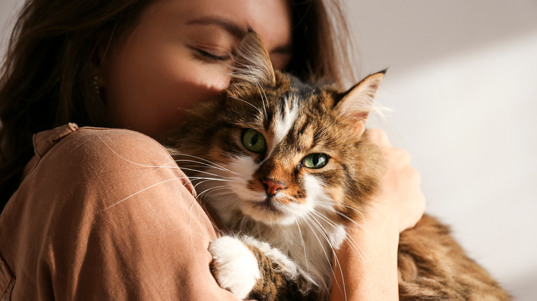 person snuggling with cat