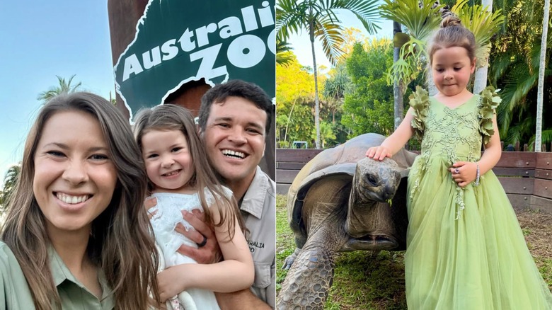 Side-by-side photos show Bindi Irwin posing with daughter Grace and husband Chandler Powell (left) and a photo of Grace posing with a tortoise (right).