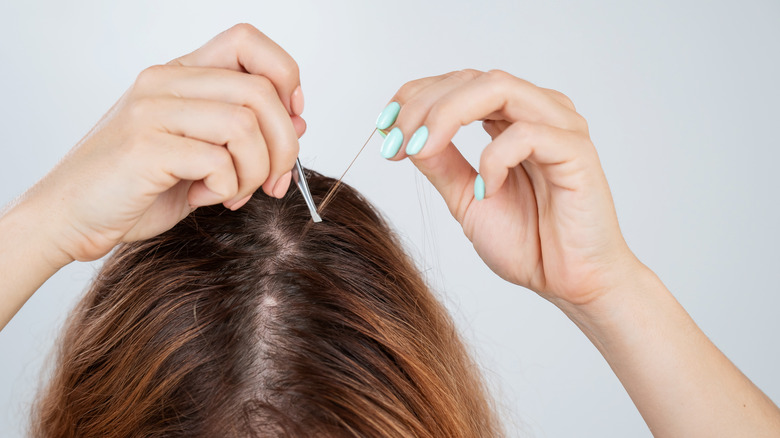Woman plucking gray hair