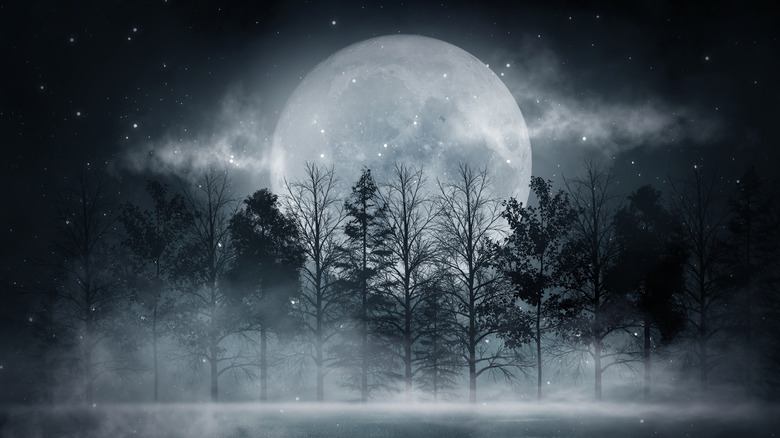cold december moon at night