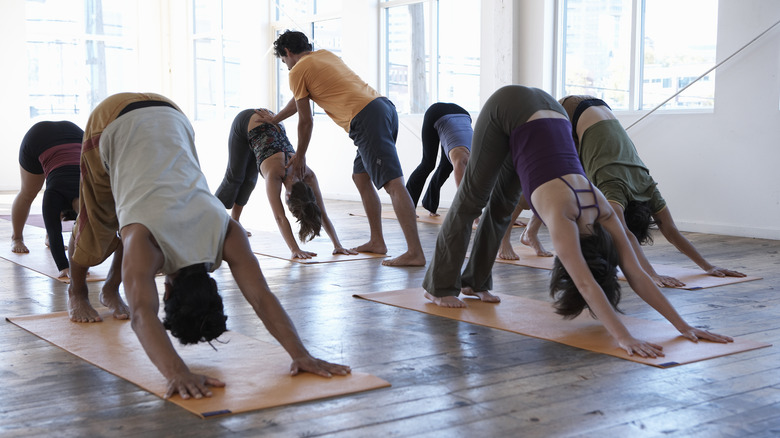 yoga class in downward dog