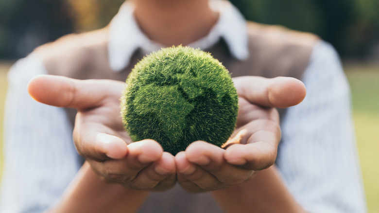 person holding globe made of grass