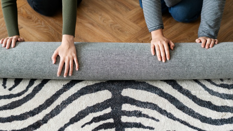 Rolling out zebra pattern rug