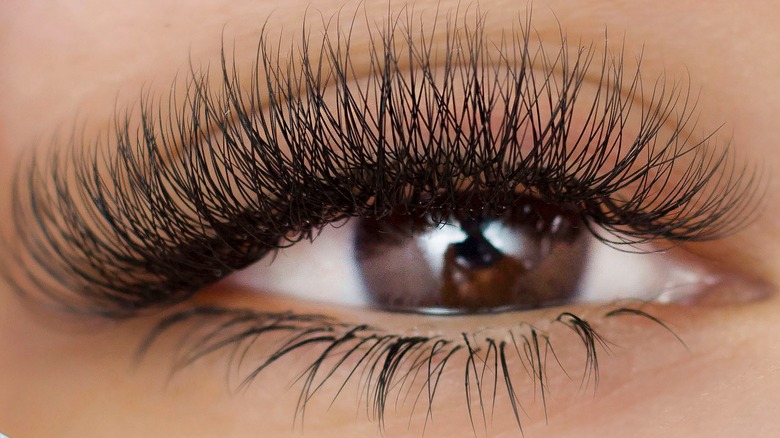 Closeup of luxe eyelashes