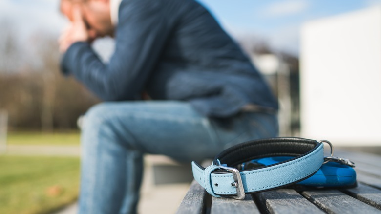 man on bench with dog collar