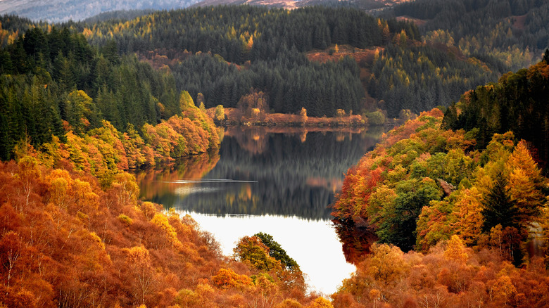 fall leaves changing colors