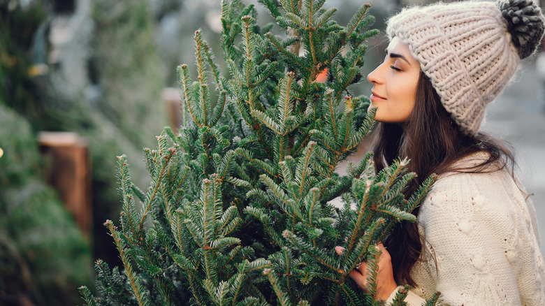Content woman smelling pine tree