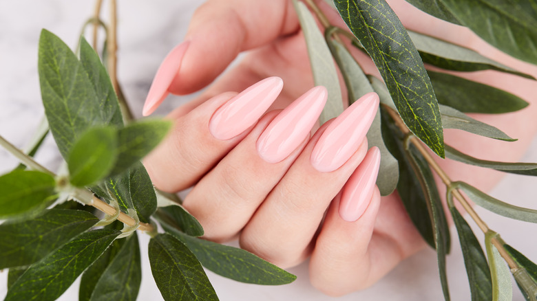 hand with long almond shaped nails