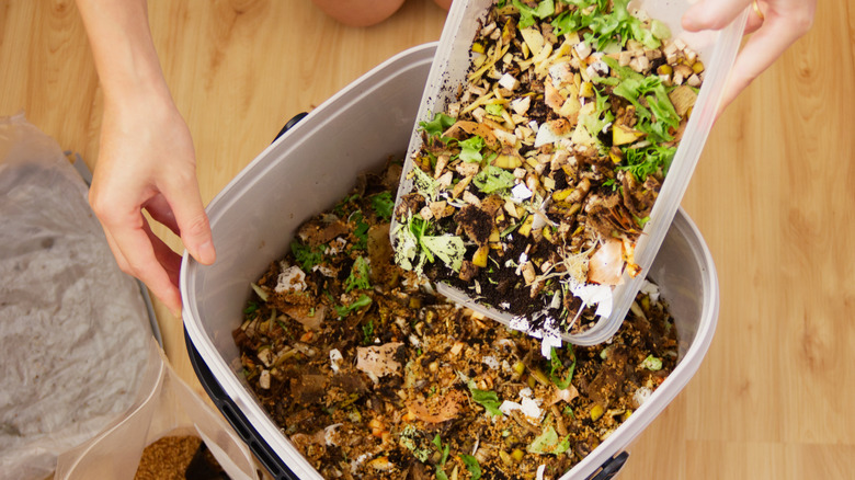 Compost bin indoors