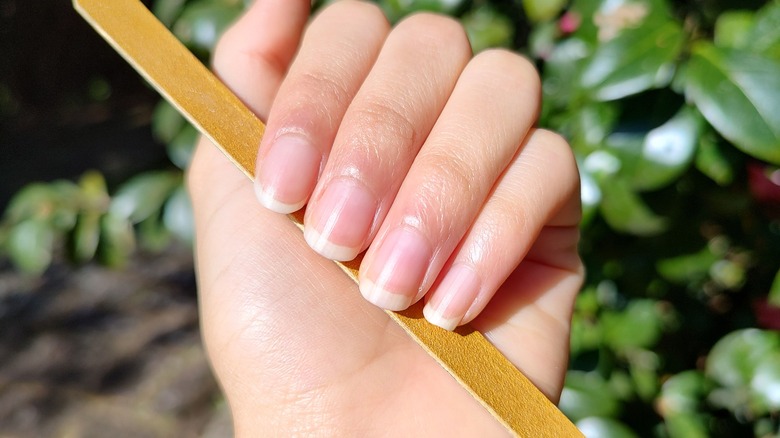 Natural nails holding nail file