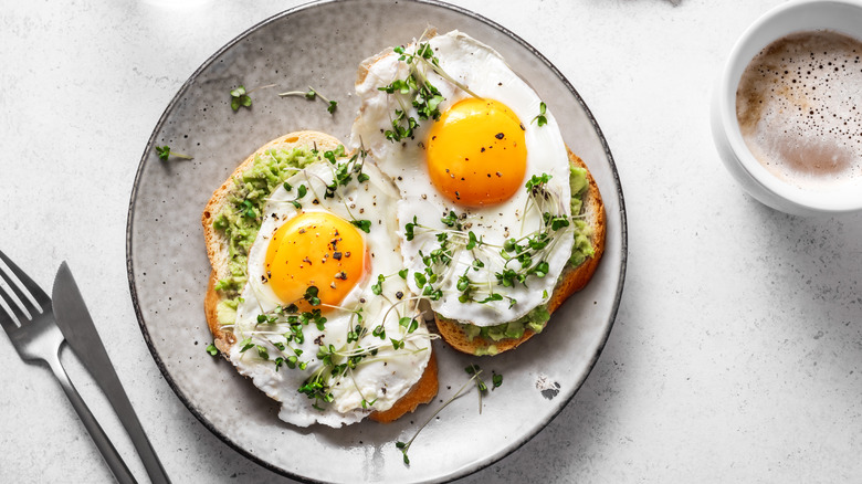 Fried eggs on bread