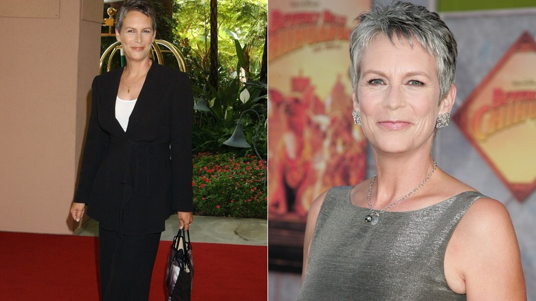 Jamie Lee Curtis in 2003 and 2008