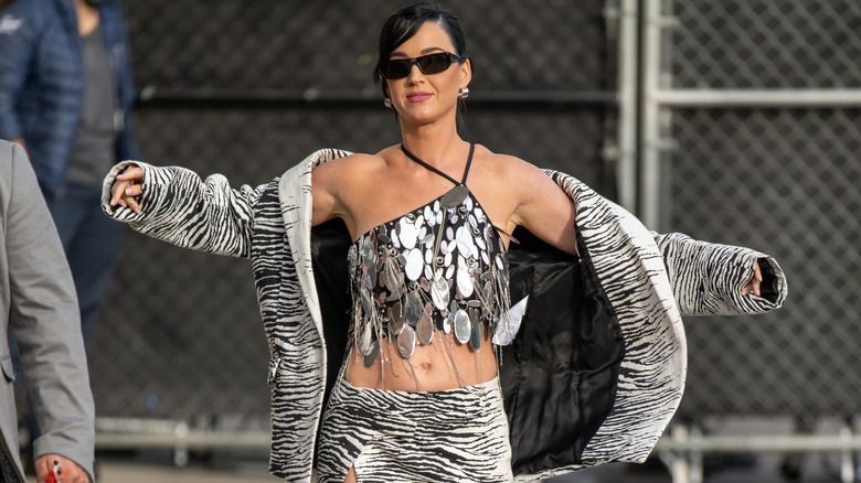 Tom Ford Shades Katy Perry's Met Gala Outfits, Hamburger Dress