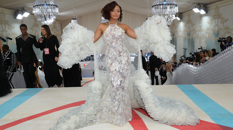 Halle Bailey at the 2023 Met Gala in a sheer white dress