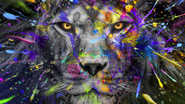 Lion with colors