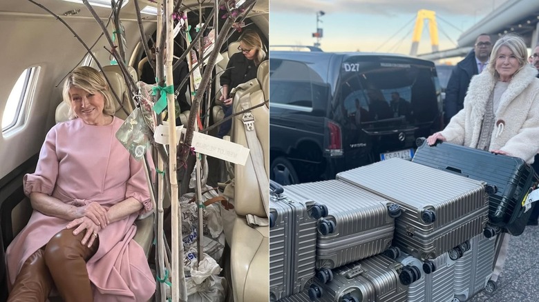 Martha Stewart flying in a private plane, and Martha Stewart pushing several suitcases