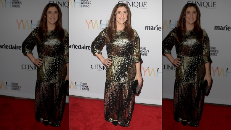 Mayim Bialik posing in a metallic dress