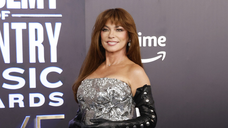 Shania Twain poses wearing a silver dress