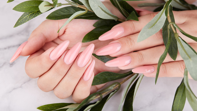 Long pink nails around leaves