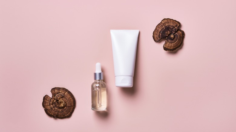 Mushroom skincare products