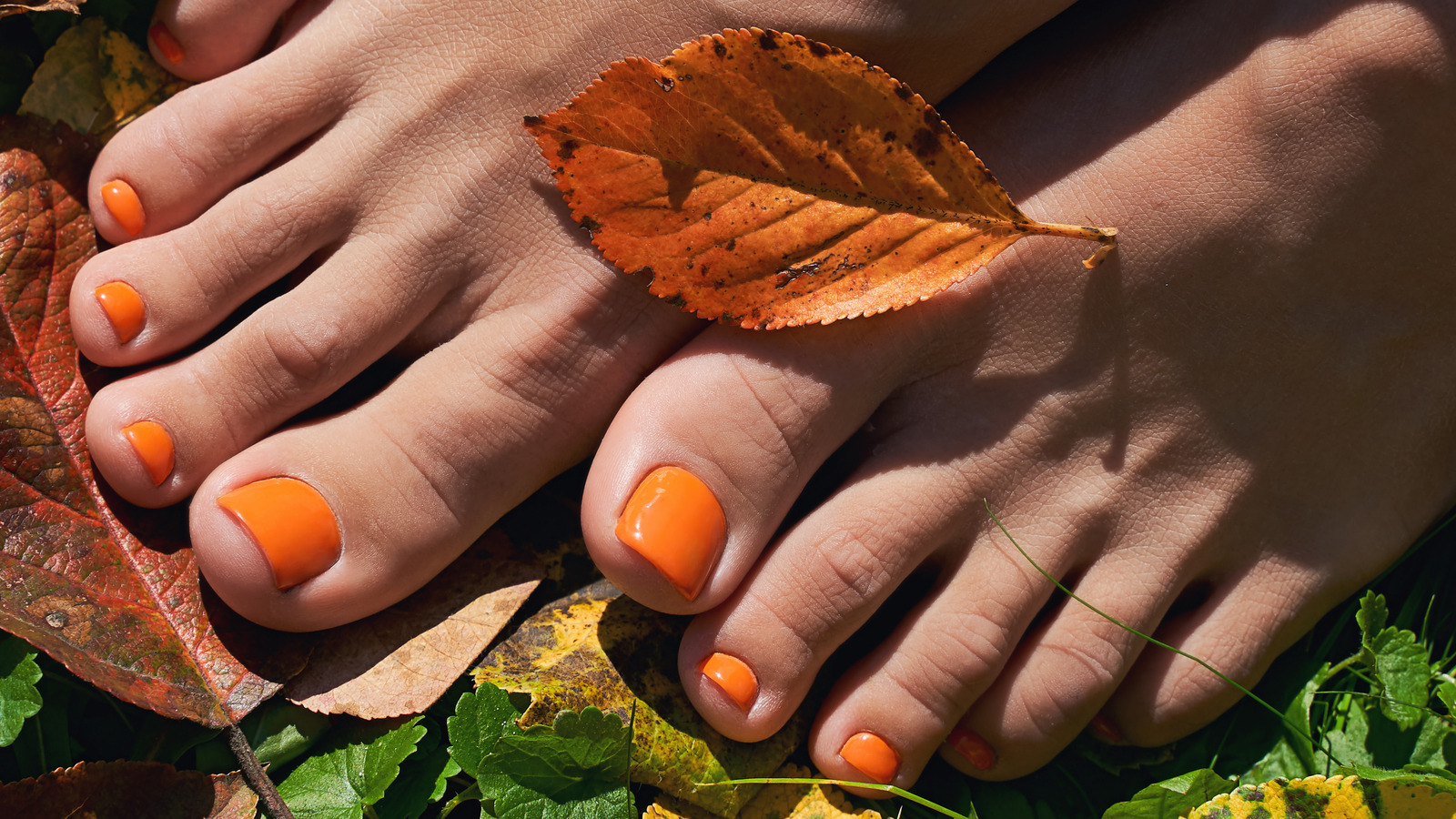 Nail Artist Tells Us Fall 2024 s Trendiest Pedicure Colors
