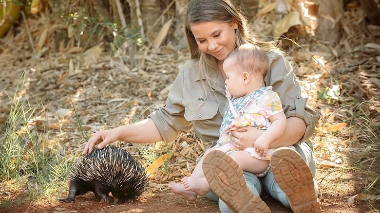 Bindi Irwin and her infant daughter Grace with an echidna