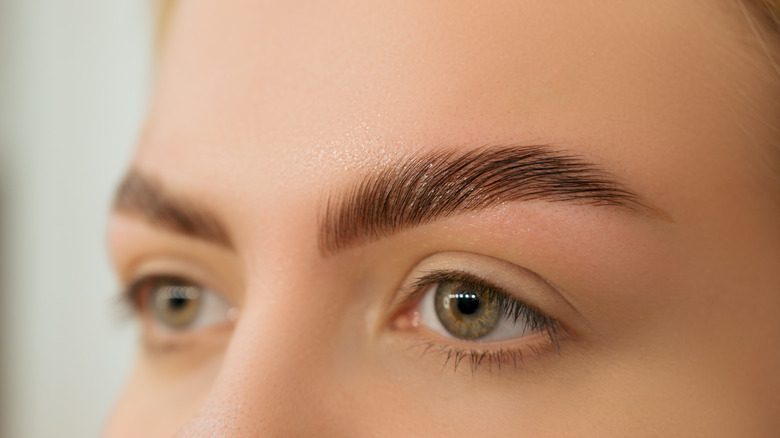 close up image of a woman's eyebrows