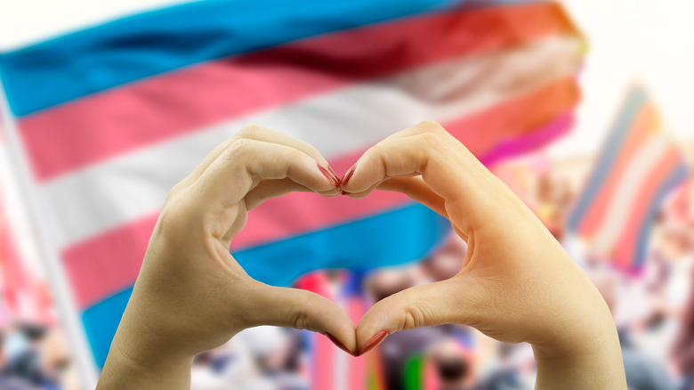 trans flag with heart hands