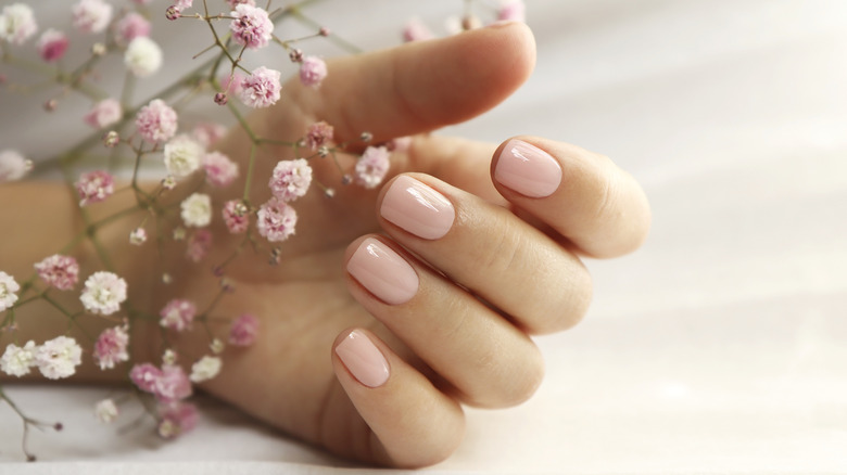 Pale pink BIAB nails