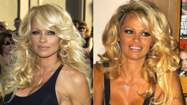 Pamela Anderson at the 31st annual American Music Awards in Los Angeles in November 2003 / Pamela Anderson at a signing for her book "Star" in Hollywood in September 2004