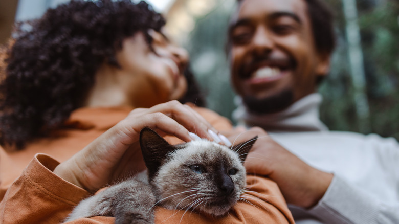 Smiling couple holding shorthair cat