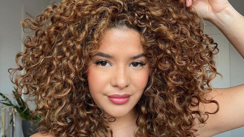 Natural black hair with curly caramel highlights  Luzes cabelo Cabelo  Cabelo castanho