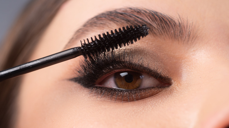 person applying eye makeup