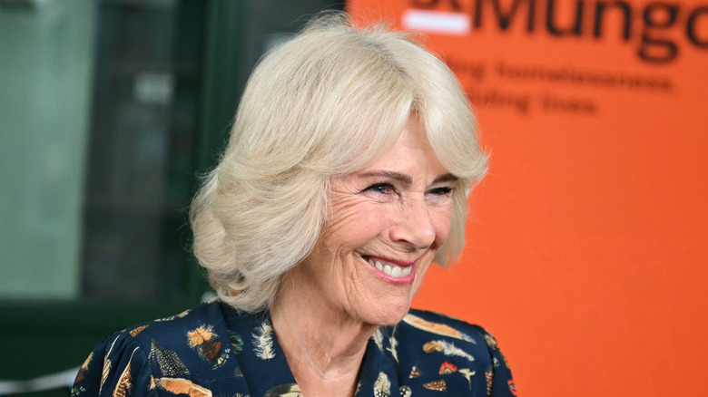 Queen Camilla on June 10, 2026