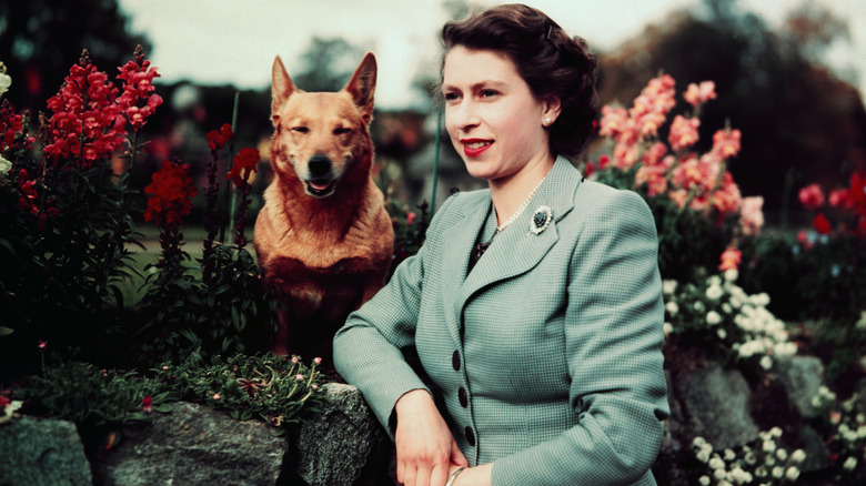 Queen Elizabeth Ii in the 1950s with her dog