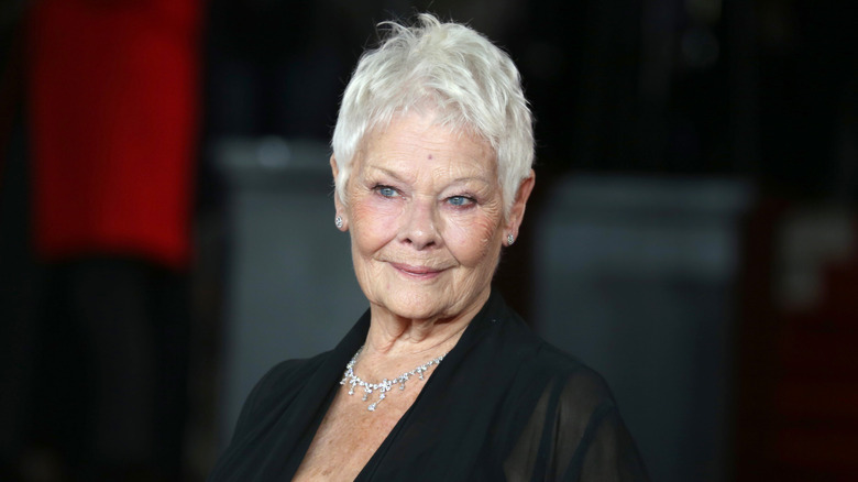 Judi Dench on the red carpet