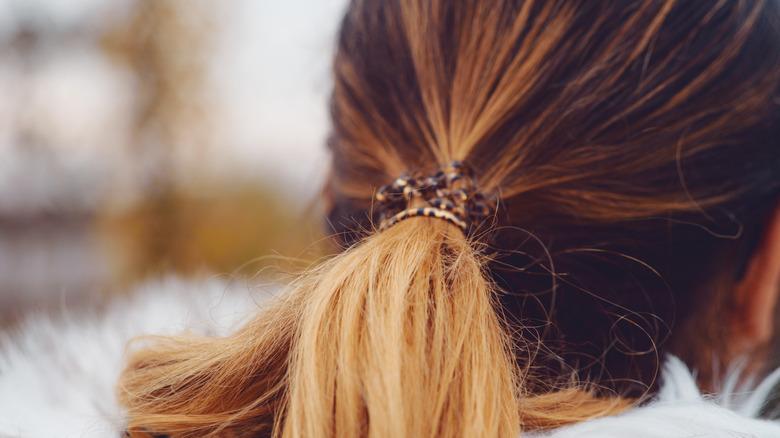 close up of woman's ponytail