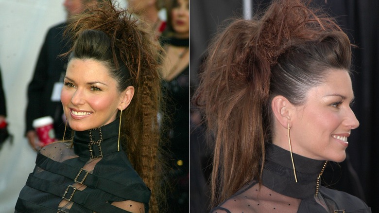 Shania Twain rocks a frizzy brunette mohawk-style updo with crimped pieces left down in the back