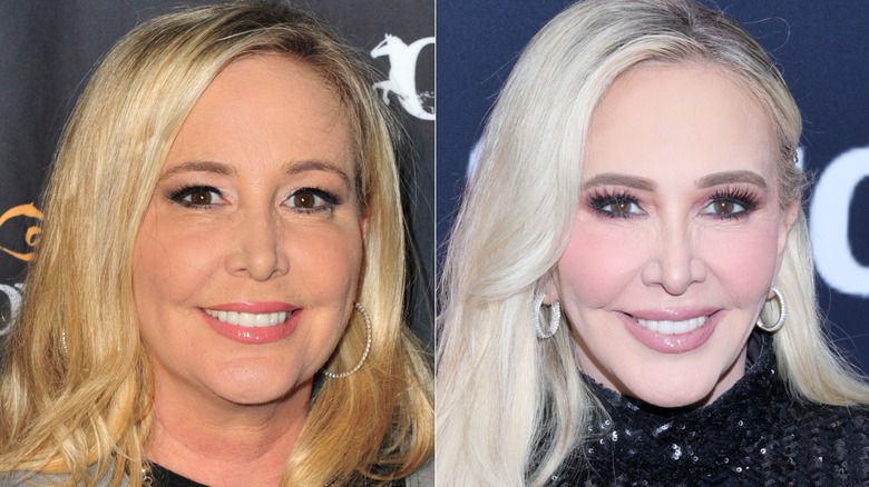 Shannon Beador in 2016 and 2025