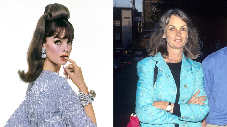 A young Jean Shrimpton bites her finger wearing a sequin cardigan. An older Jean Shrimpton wearing a blue jacket.