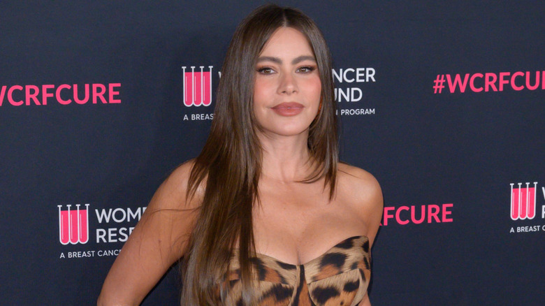 Sofía Vergara wearing an animal-print dress