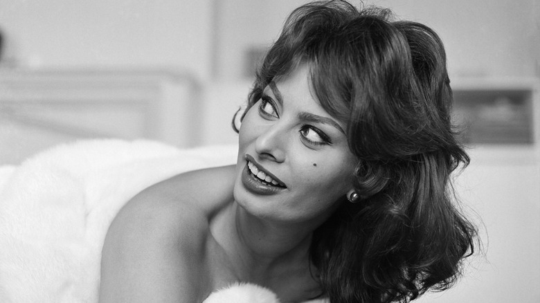 Sophia Loren looking to the left with messy hair in a 1954 photoshoot.