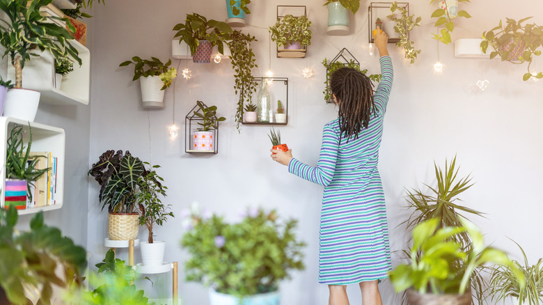 Woman caring for houseplants