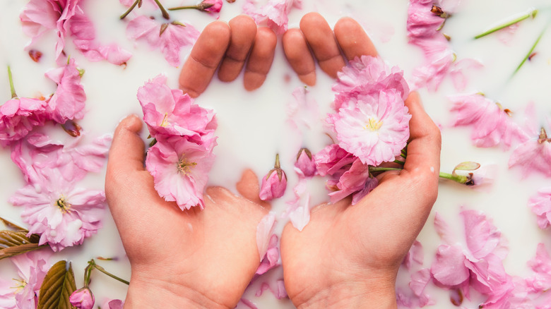 Hands cupping floral milk bath