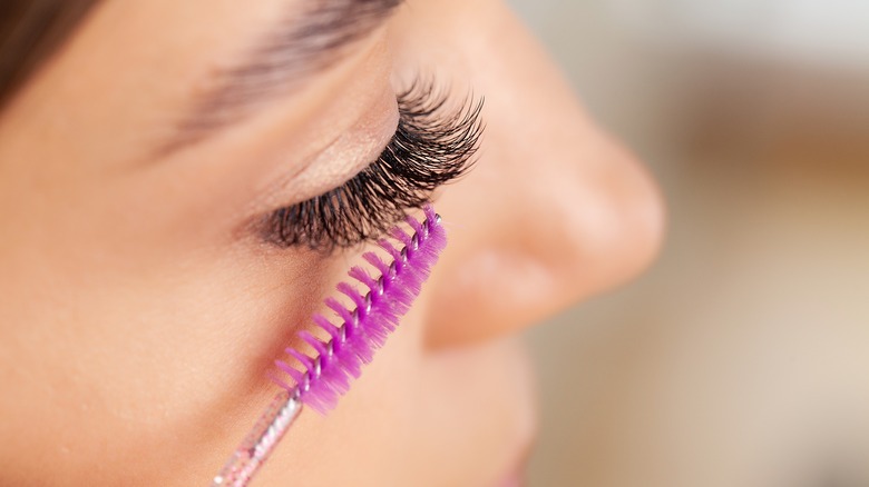 Close up of eyelashes