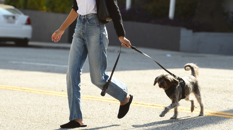 Straight-leg, high-waisted jeans