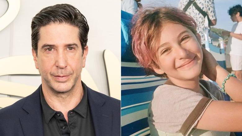 David Schwimmer and Cleo Buckman Schwimmer