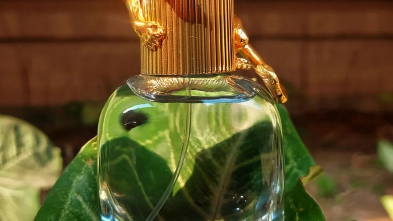 Perfume bottle on leaves