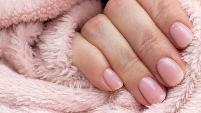 light pink manicure