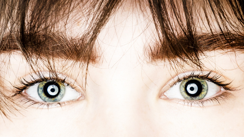 9. "The Most Flattering Hair Colors for Blue Eyes and Medium Skin" - wide 10